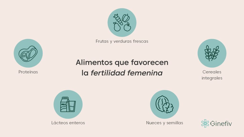 alimentos y fertilidad femenina