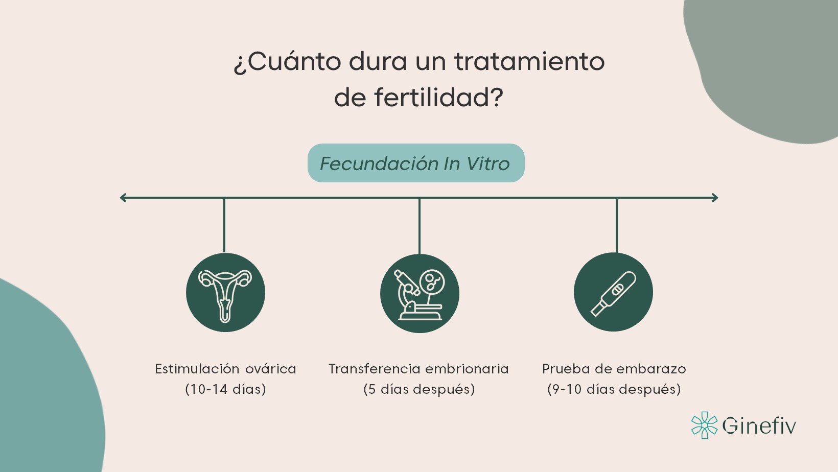 duración tratamiento de fertilidad Ginefiv