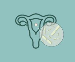 microbiota-endometrial-ginefiv