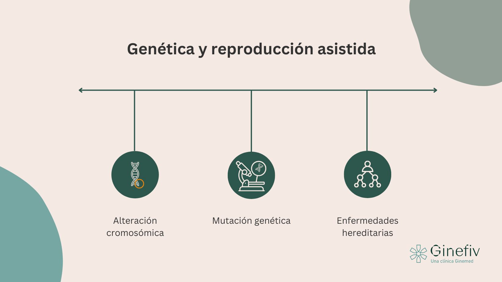 genética y reproducción asistida unidad genética reproductiva ginefiv